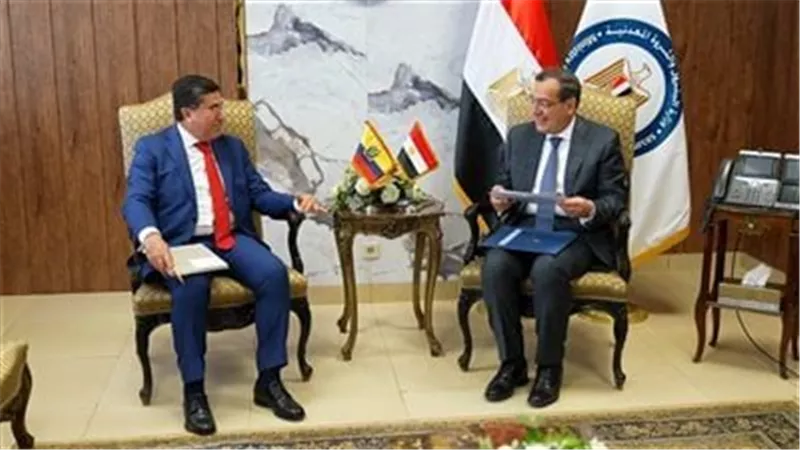 رئيس الوزراء يتابع موقف توفير الاحتياجات البترولية قبل إجازة العيد