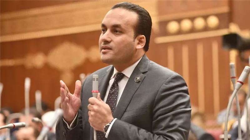 النائب عمرو فهمي: القمة المصرية البحرينية فضحت جرائم الاحتلال وأكدت دعم القضية الفلسطينية