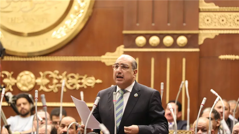 رئيس برلمانية الشعب الجمهوري بالشيوخ يطالب بإدراج مشروعات التصنيع الزراعى ضمن خطة تحديث الصناعة