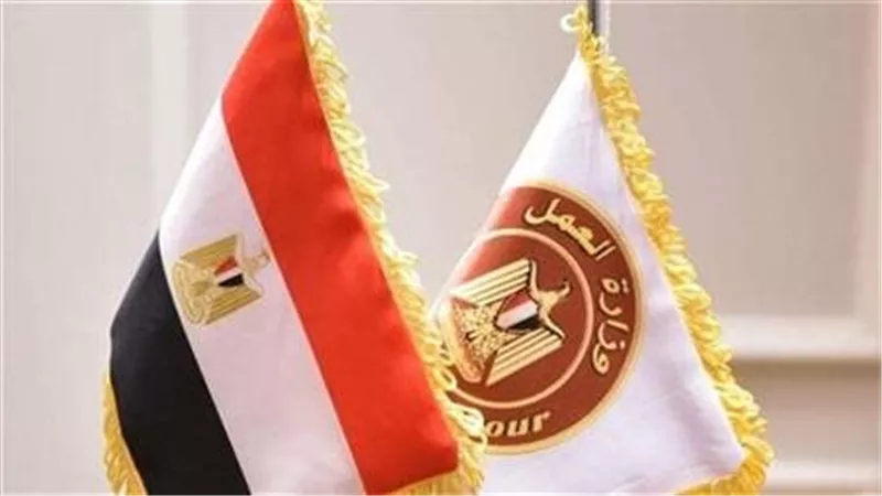 وزارة العمل: توفير 14 ألف فرصة عمل لذوى همم 
