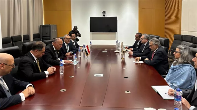 وزير الخارجية يستعرض مع نظيره الباكستانى جهود مصر لوقف إطلاق النار فى غزة