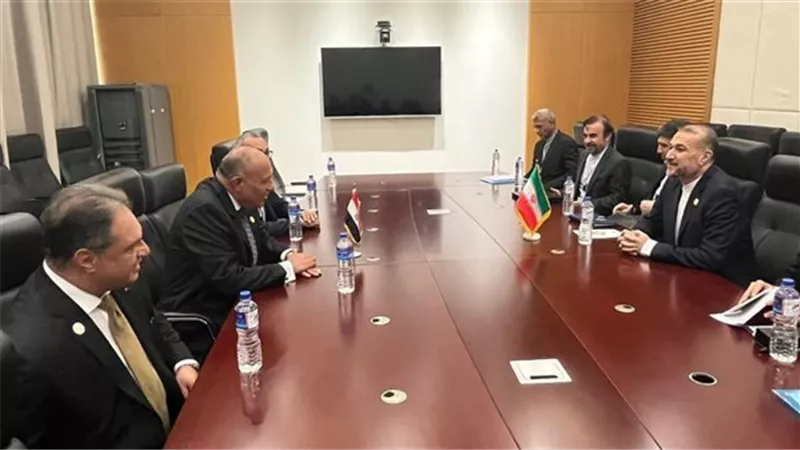 شكرى يؤكد لوزير خارجية إندونيسيا ضرورة التزام إسرائيل بقرارات مجلس الأمن