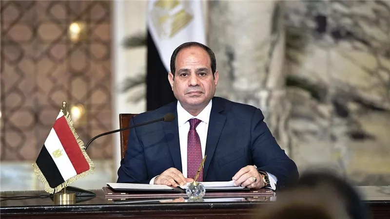 الرئيس السيسى: زراعة 60 ألف فدان بالمنيا وبنى سويف تعود بالنفع على الأيدى العاملة