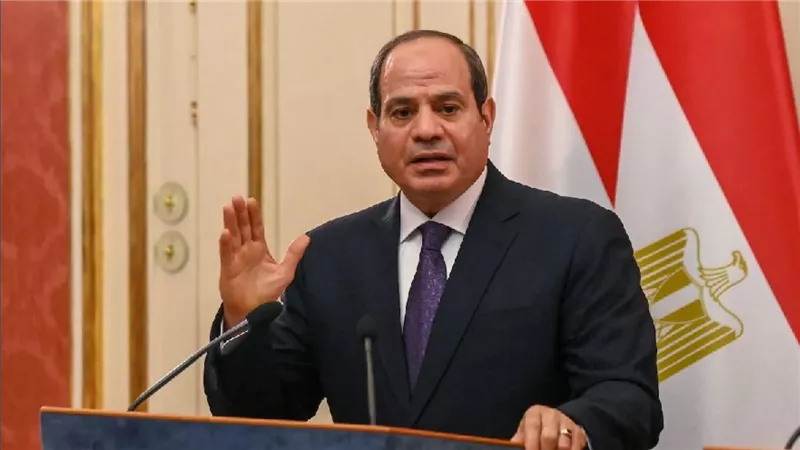 الرئيس السيسى: 2 مليون فدان تدخل الخدمة العام المقبل فى مشروع مستقبل مصر