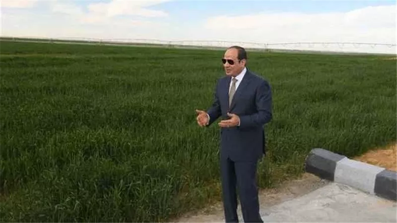 الرئيس السيسي عن تطوير مسجدى السيدة زينب والحسين: بيت ربنا ما يتعملش إلا صح