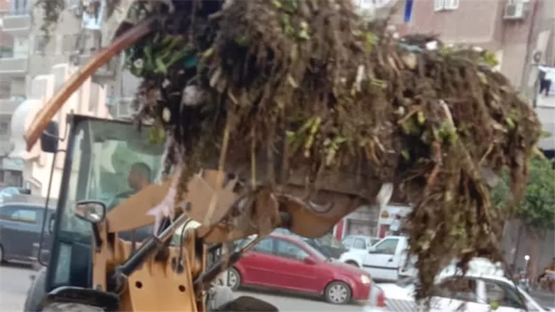 رفع ناتج ورد النيل من ترعة السويس حفاظاً علي نظافة مياه الشرب