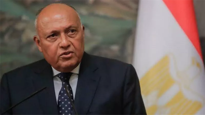 وزير الخارجية يؤكد لنظيره الأمريكي دعم كل جهد يستهدف إنهاء الحرب ضد غزة