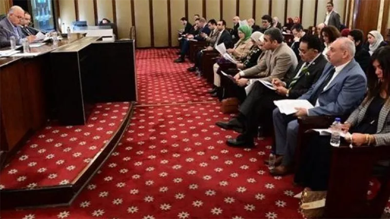 طاقة النواب تناقش أسباب اندثار سوق الطاقة الجديدة بالمشروعات الصغيرة