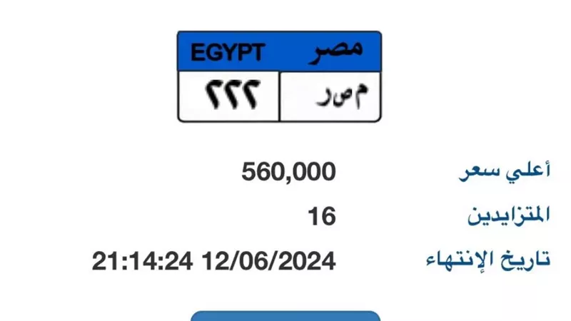 16 شخصا يزايدون على لوحة 