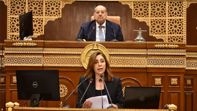 وزيرة الثقافة تؤكد دعم الوزارة للصناعات الثقافية والإبداعية وتقترح توصيات لتطويرها 