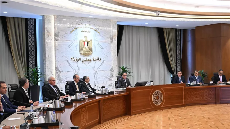 رئيس الوزراء يتابع جهود توطين صناعة الرقائق الإلكترونية وأشباه الموصلات