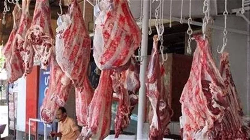 وزير التموين: استمرار طرح لحوم الأضاحى بالمنافذ خلال أيام عيد الأضحى