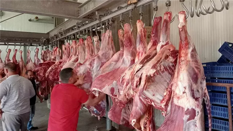 وزارة التموين: 60% زيادة فى معدلات ضخ اللحوم بالمجمعات الاستهلاكية