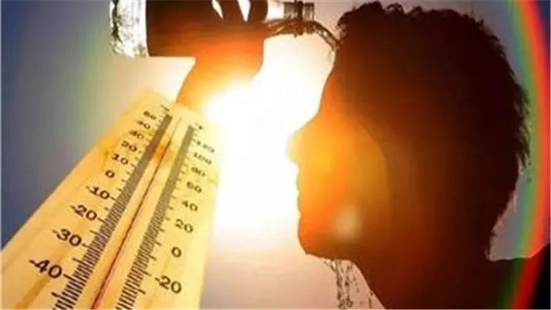 هل تشهد مصر شتاء لم تعرفه منذ 31 عاما؟.. الأرصاد تحسم الجدل