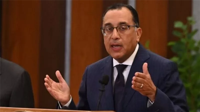 رئيس الوزراء يلتقى مسئولى شركة 