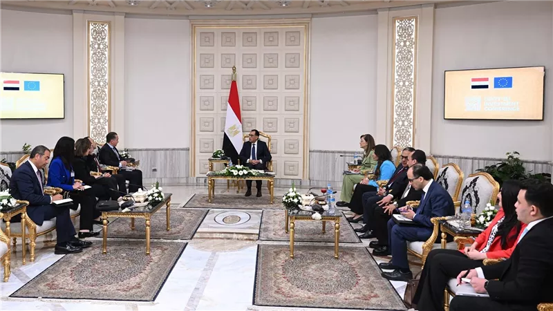 رئيس الوزراء يلتقي الرئيس التنفيذي لشركة 