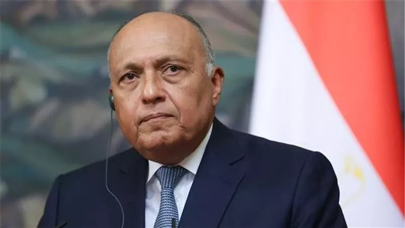 سامح شكرى يؤكد حرص مصر على الانخراط فى جهود الوساطة وتسوية النزاعات