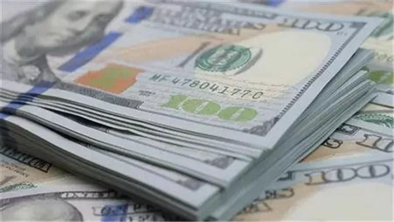 مستشار سابق بالبنك الدولى: مصر سددت 25 مليار دولار من الدين العام