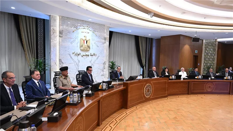 رئيس الوزراء: تكلفة لتر السولار على الدولة 20 جنيهًا ويباع بـ 10 جنيهات