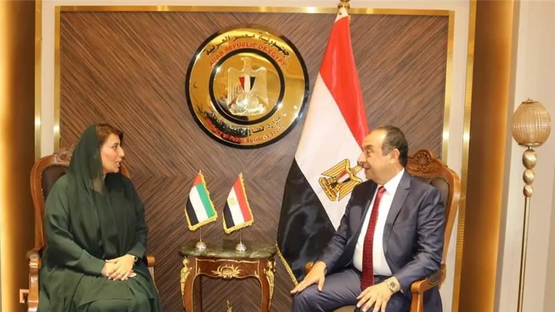 وزير قطاع الأعمال العام يستقبل سفيرة الإمارات بالقاهرة لبحث تعزيز التعاون