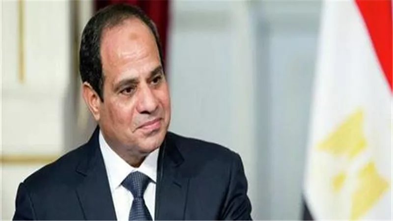 توجيهات رئاسية للحكومة بإضافة قدرات جديدة إلى الشبكة الكهربائية