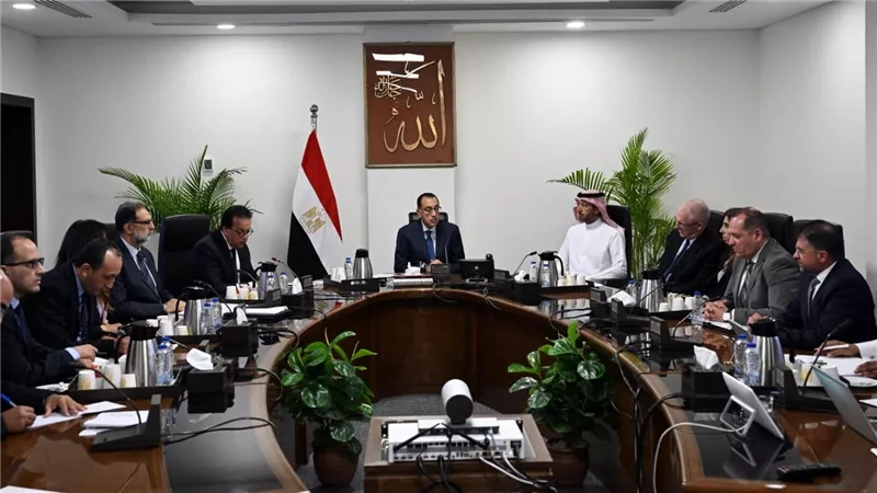رئيس الوزراء يلتقي مسئولي شركة 
