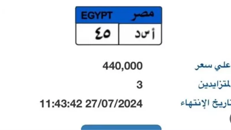 مزاد على لوحة سيارة 