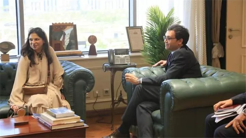 وزارة الثقافة تتسلم مكتبة حفيدة رئيس وزراء مصر الأسبق يحيى باشا إبراهيم