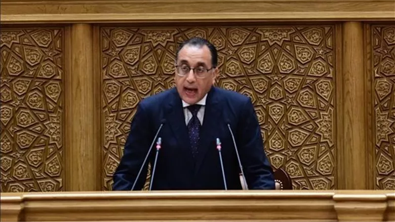 مجلس الوزراء: تكثيف جهود الدولة للتغلب على تحديات سوقى الدواء والأسمدة