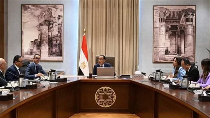 مدبولي يلتقى رئيس شركة 