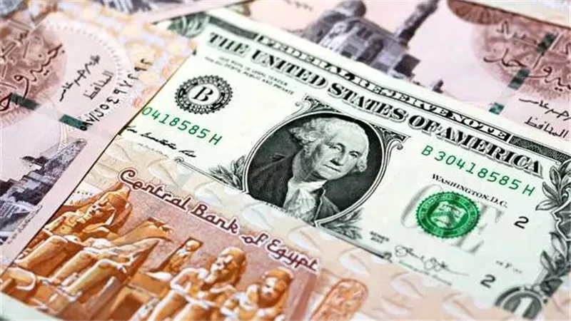 مفاجأة.. الحكومة تكشف سبب ارتفاع سعر الدولار أمام الجنيه
