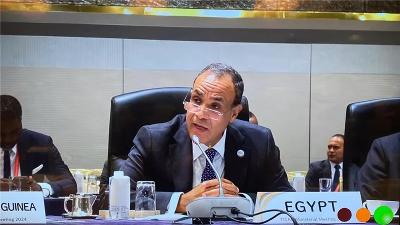 وزير الخارجية يشارك في افتتاح مؤتمر التيكاد وجلسة عن السلم والأمن في مؤتمر التيكاد