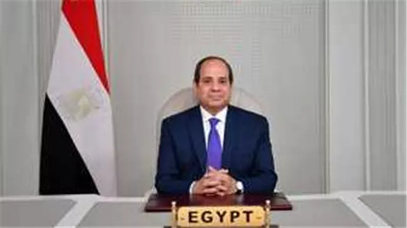 الرئيس السيسي: الدول النامية لم تتسبب فى الأزمات العالمية