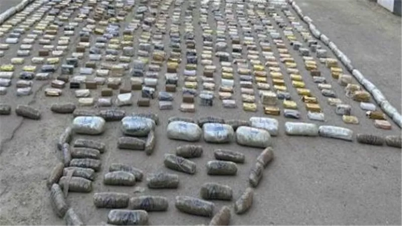 الداخلية تنجح في ضبط عناصر إجرامية في السويس وبحوزتهم مخدرات بـ 8 مليون جنيه
