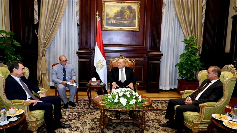 رئيس مجلس الشيوخ يستقبل وفد 