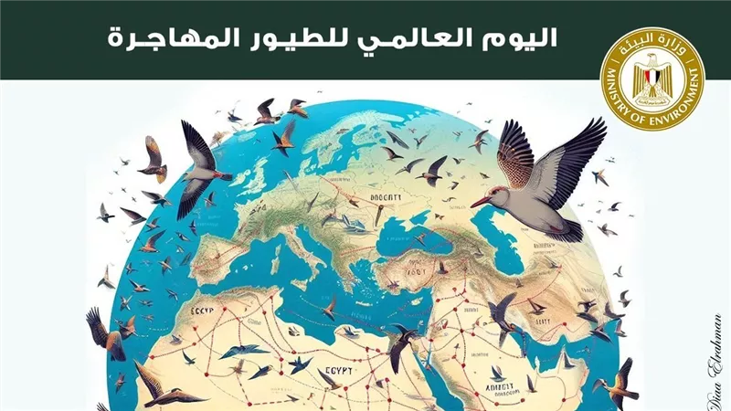 وزيرة البيئة : مصر قبلة الطيور المهاجرة و محطة هامة للتكاثر والغذاء