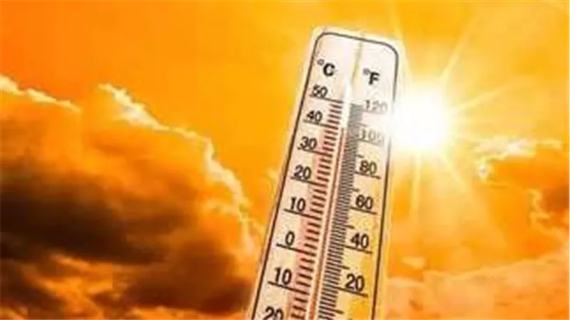 غدا طقس حار نهارا وشبورة كثيفة على بعض المناطق والعظمى بالقاهرة 32 درجة