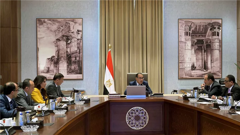 الحكومة تُدبّر التمويل اللازم لشراء الأقطان المصرية