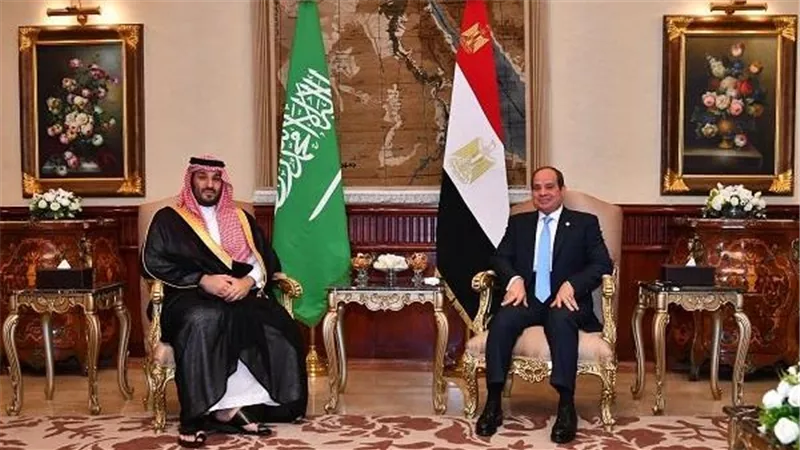 مصر والسعودية تؤكدان مواصلة تكثيف الجهود الرامية إلى صون السلم والأمن الدوليين