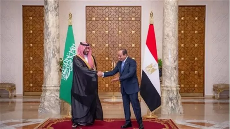 مصر والسعودية تؤكدان ضرورة السعى لهدنة مستدامة ووقف دائم لإطلاق النار فى غزة
