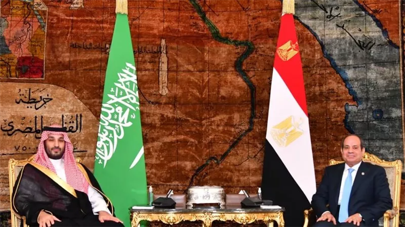 القاهرة والرياض تؤكدان ضرورة المحافظة على وحدة السودان وكل مؤسساته الوطنية