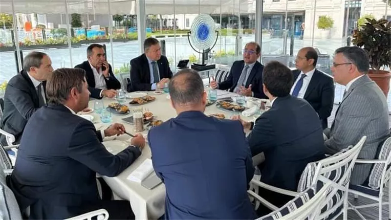 وزير المالية فى لقائه بممثلي مجتمع الأعمال التركي: نستهدف تحسين بيئة الأعمال 