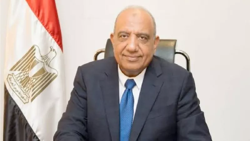الكهرباء: زيادة سعر المليون وحدة حرارية الموردة للمحطات إلى 4 دولارات