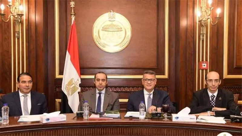 المستشار محمود فوزي يناقش تقرير الوطني لآلية المراجعة الدورية الشاملة أمام المجلس الدولي لحقوق الإنسان