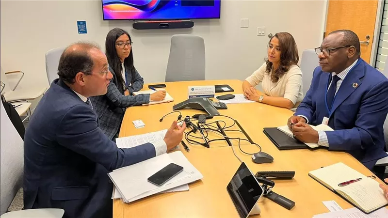 وزير المالية: «تحالف الديون من أجل التنمية المستدامة» يمكن أن يكون جزءًا من الحل فى قضية التمويل بإفريقيا