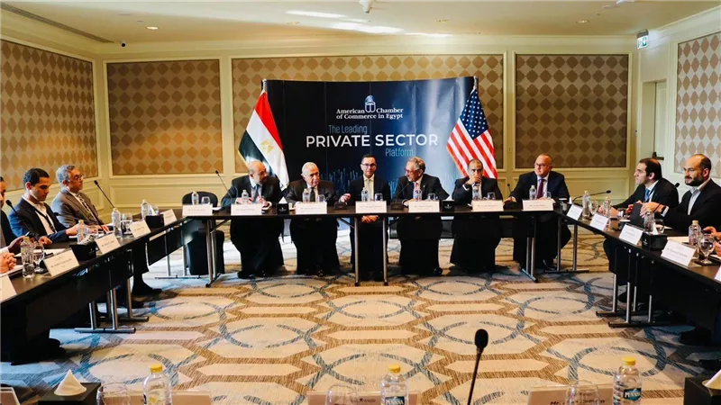 وزير الاستثمار والتجارة الخارجية يستعرض فرص ومقومات الاستثمار بالسوق المصري