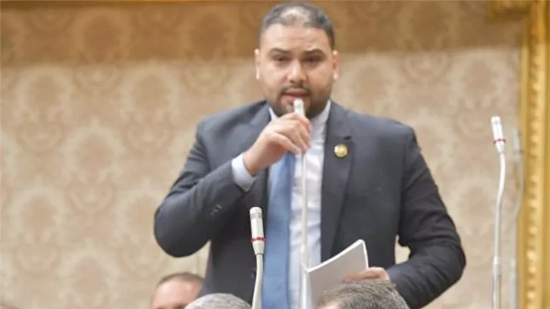 برلماني: تراجع الدين الخارجى وارتفاع الاحتياطى الأجنبى يعزز الثقة فى الاقتصاد