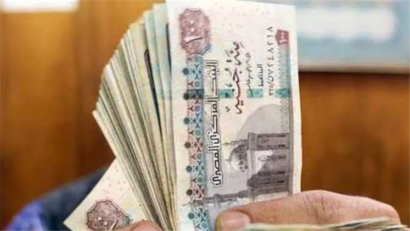 تعرف على شروط الاشتراك فى تأمين البطالة للموظفين فى القانون
