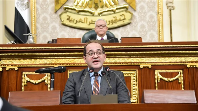 وزير المالية فى مجلس النواب بعد 