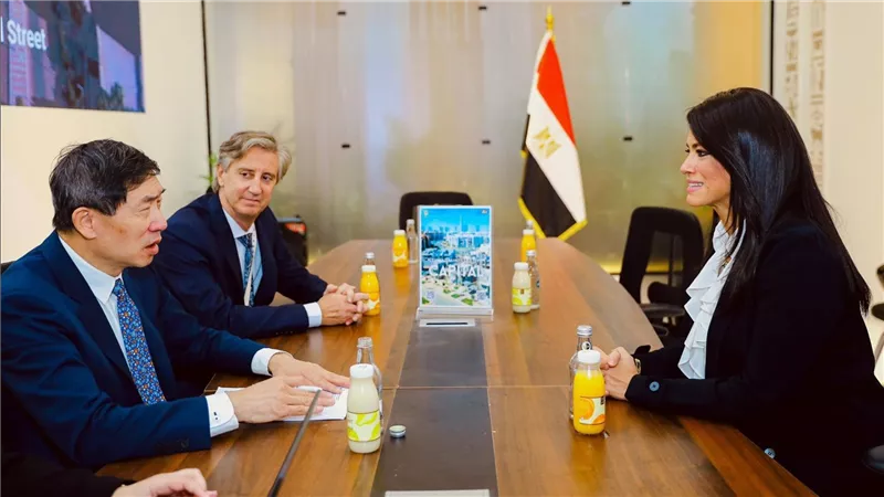 «المشاط» تُشيد بالشراكة المُثمرة مع UNDP في العديد من المبادرات والبرامج التي تنعكس على جهود التنمية في الدولة